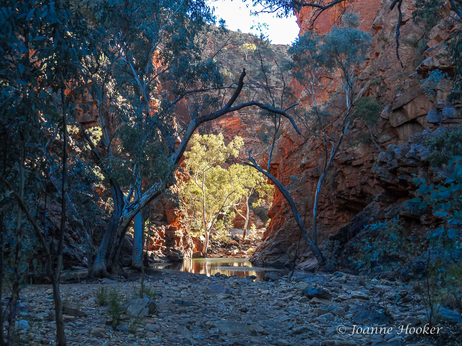 Serpentine Gorge 1